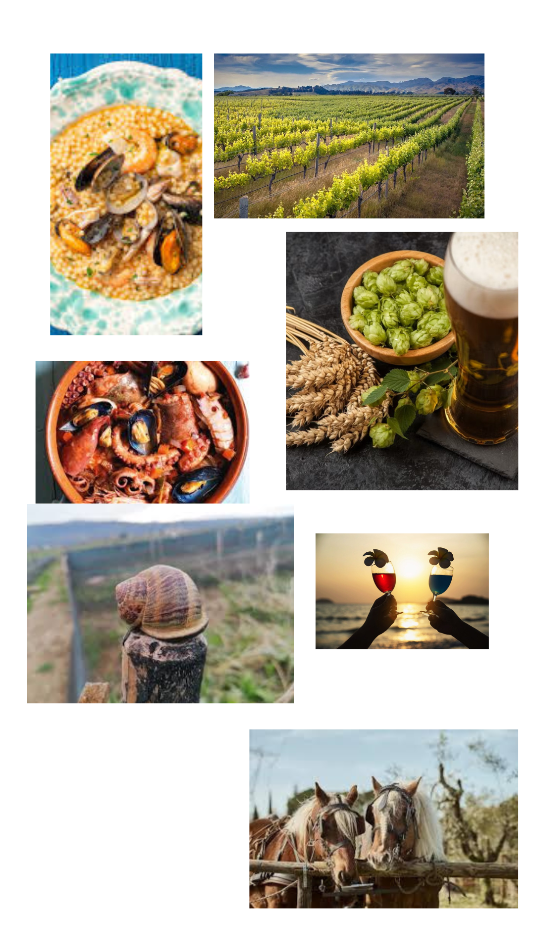 FOOD AND BEVERAGE