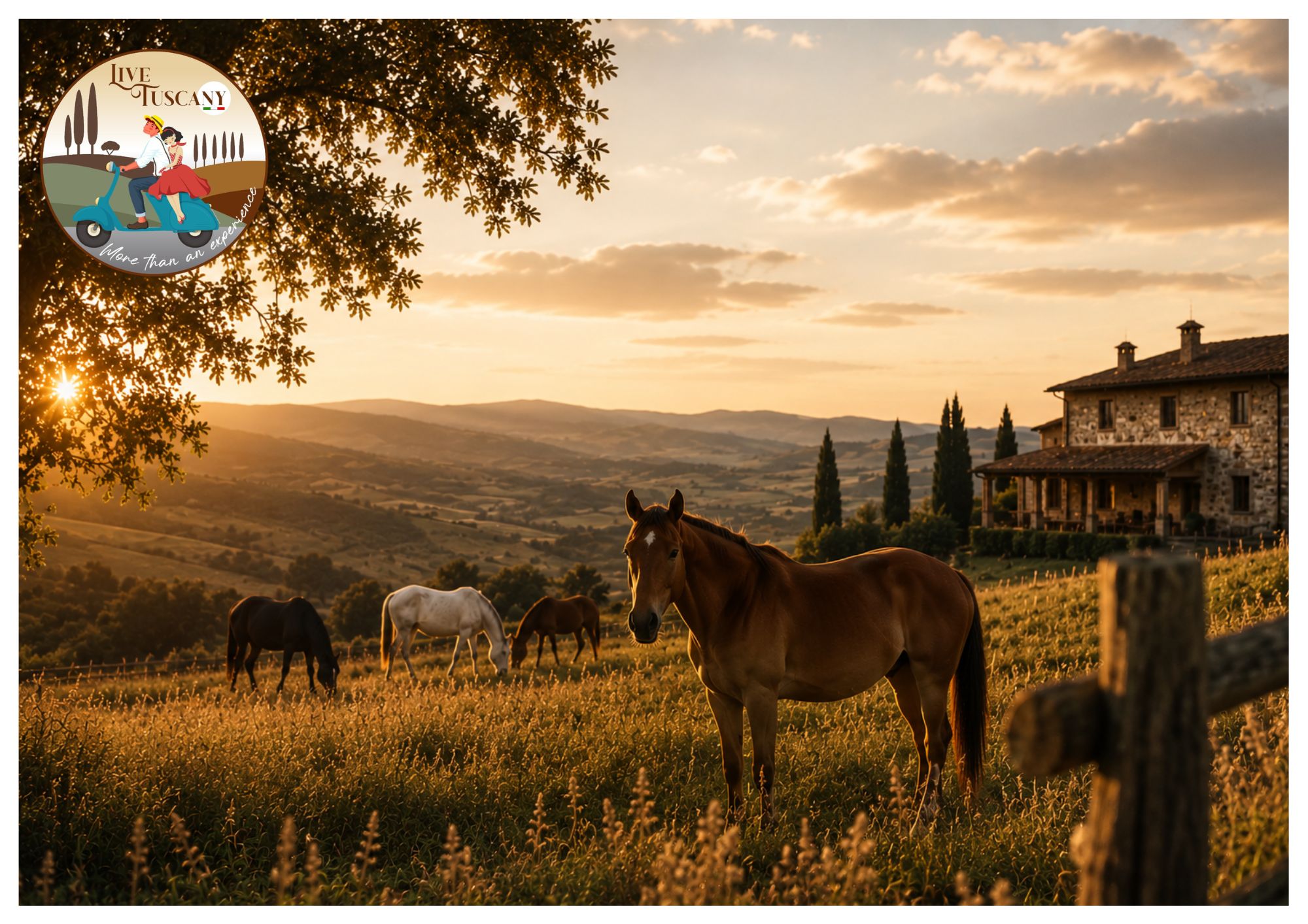 COUNTRY LIFE